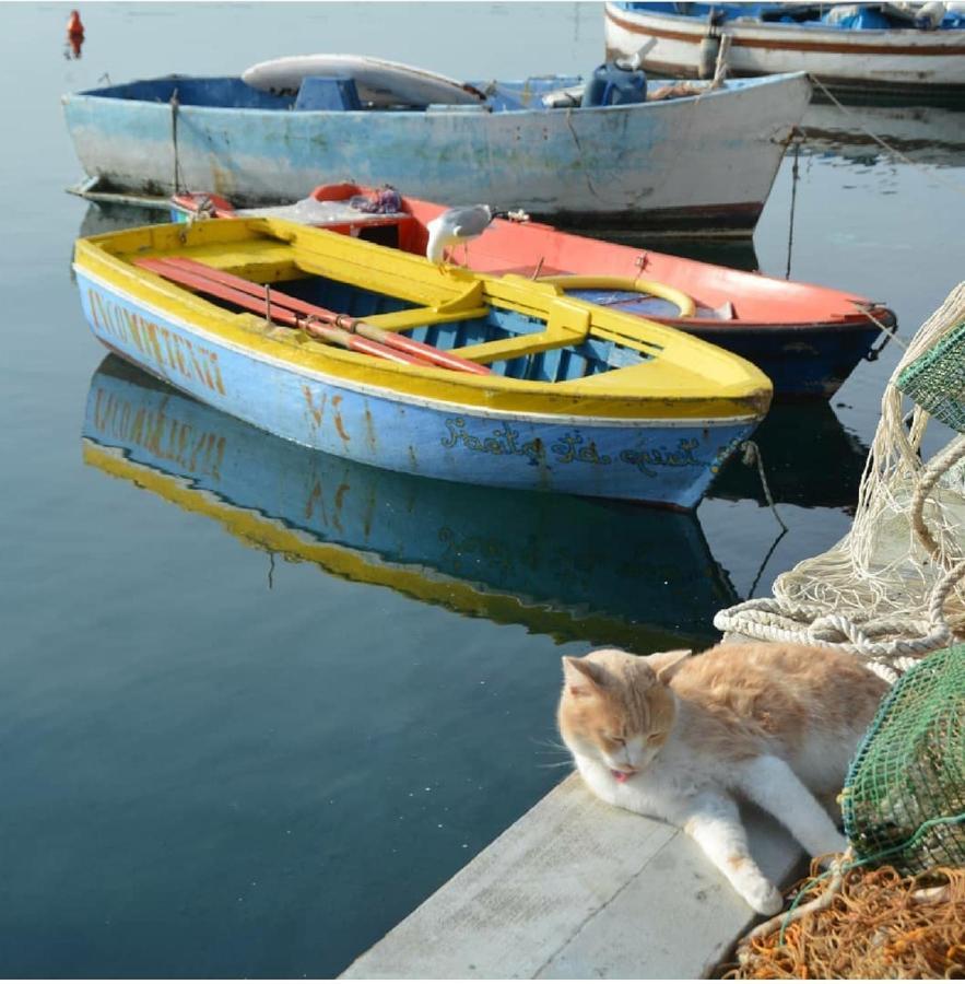 Appartamento Sotto La Terrazza Procida Esterno foto